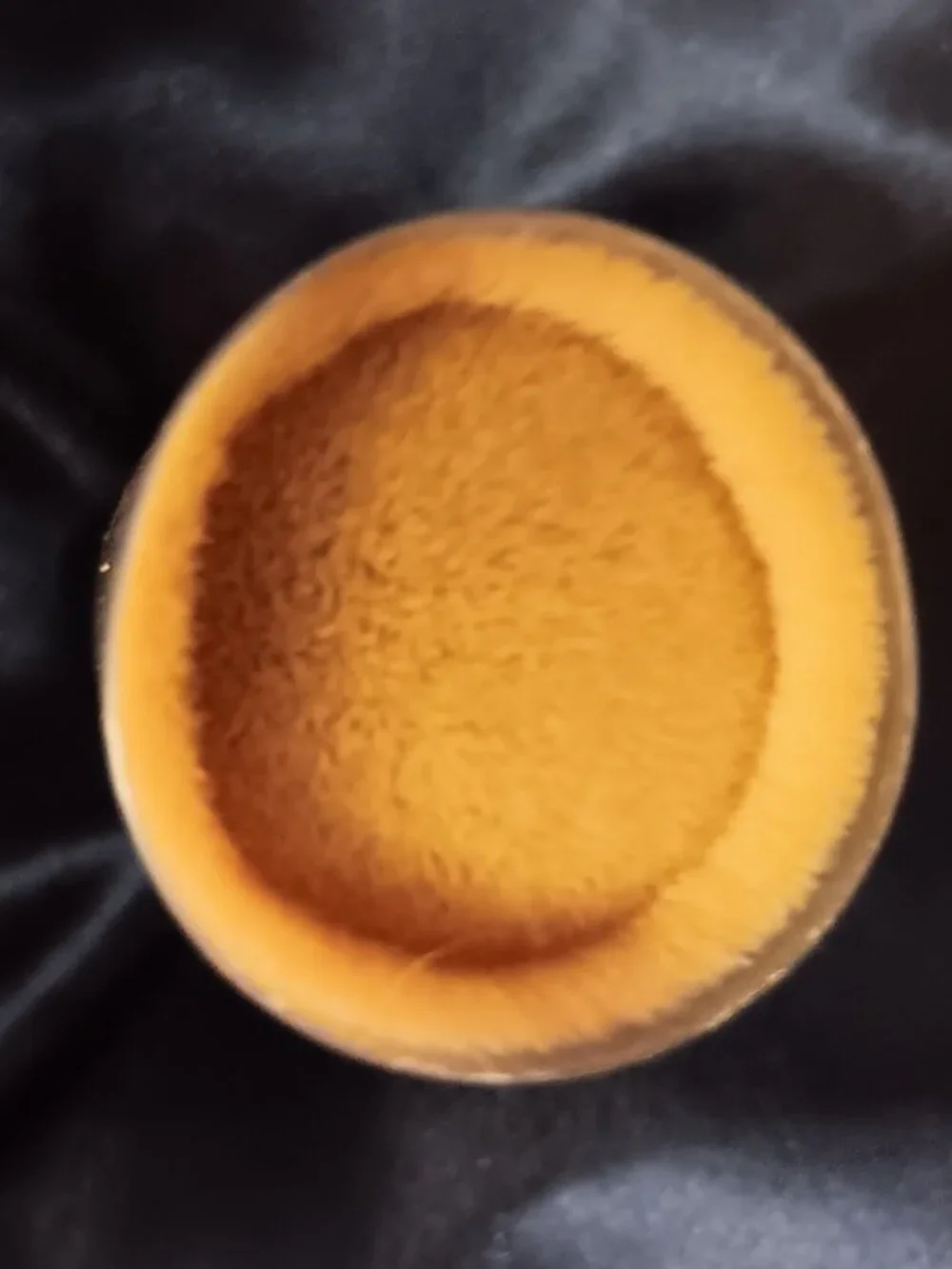 NEW Bare Minerals makeup brush